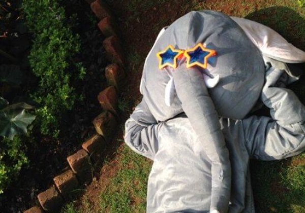 A Day in the Life of PETA’s Elephant Mascot