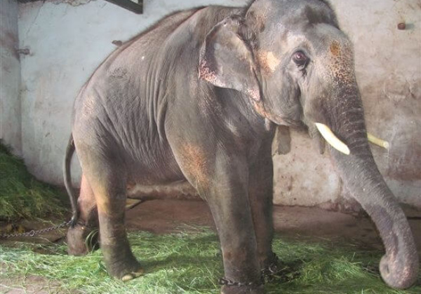 Things May be Looking Up for Sunder
