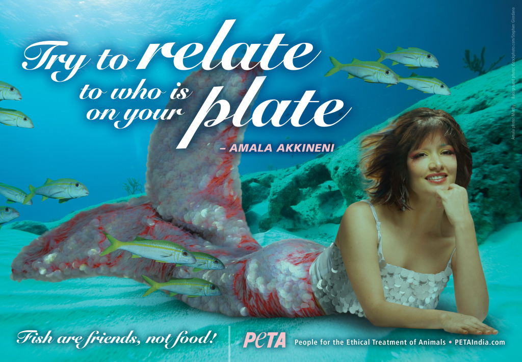 Try to Relate to Whose on Your Plate