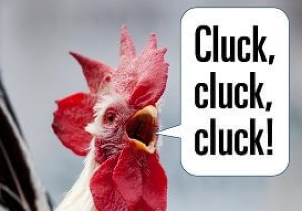 Breakthrough Device Translates Chicken Language