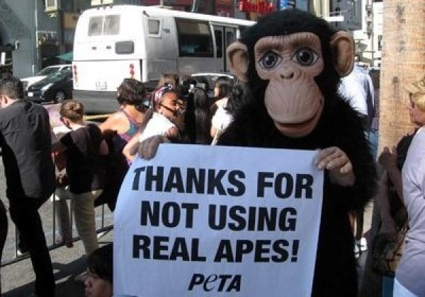 Rise of the Planet of the Apes Wins PETA US Award