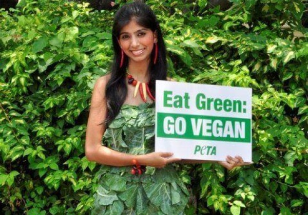 Lady Gaga Dressed in Lettuce?