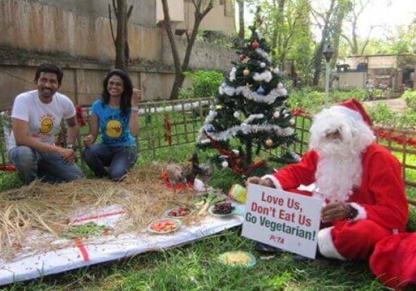 A Christmas Dinner for Chickens