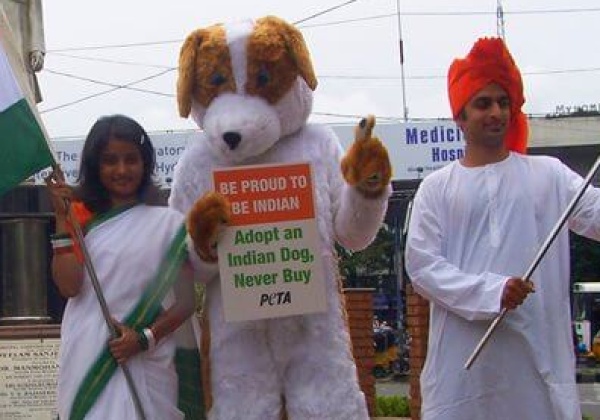 East or West, Indian Dogs Are the Best