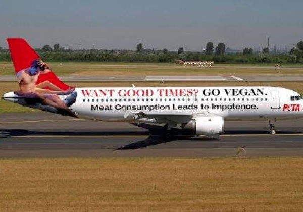 Kingfisher Aircraft to Fly Billboards?