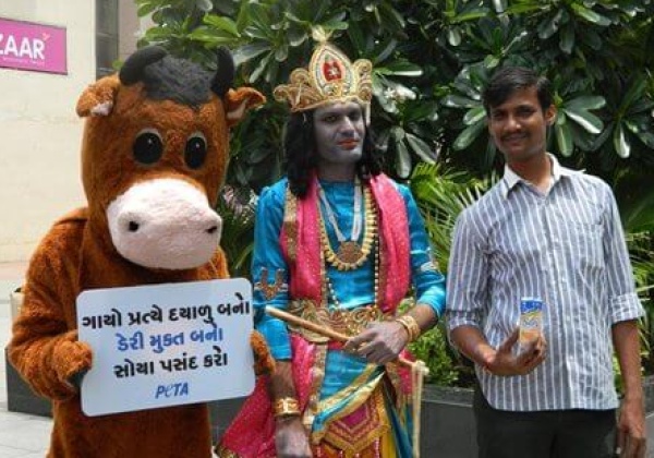 Be Kind to Cows: Go Vegan This Janmashtami