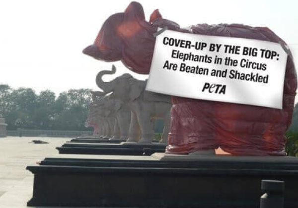 We Find a Use for Mayawati’s Covered Statues