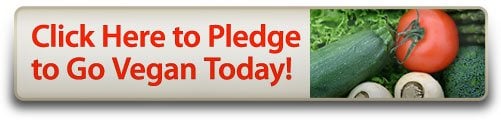 pledge_2D00_to_2D00_go_2D00_vegan_2D00_btn_2D00_501x120.jpg