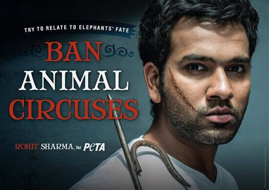 rohit-sharma-anti_2D00_circus-peta-ad.jpg