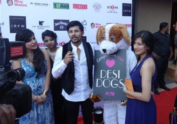 Designer Shikhar Vaidya Helps Homeless Dogs