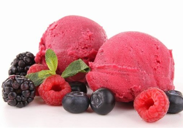 White Cub Vegan Ice-Cream Parlour