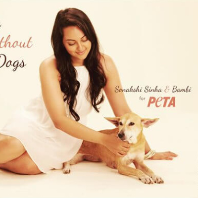 Sonakshi Sinha Speaks Up for Homeless Dogs