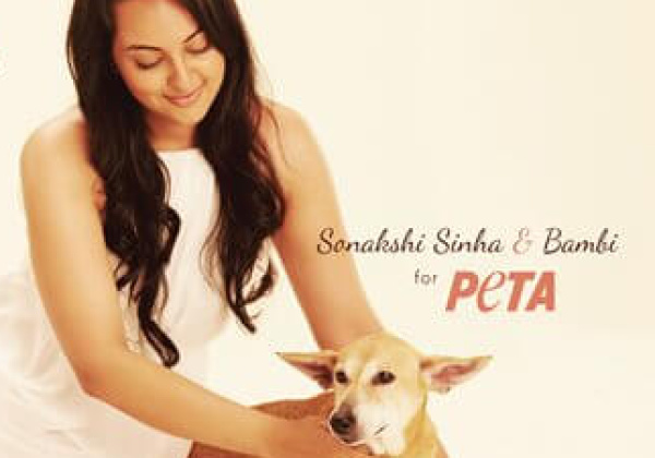 Sonakshi Sinha Speaks Up for Homeless Dogs