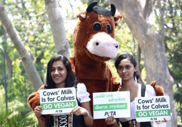 ‘Mother Cow’ Urges Chennai to Go Vegan