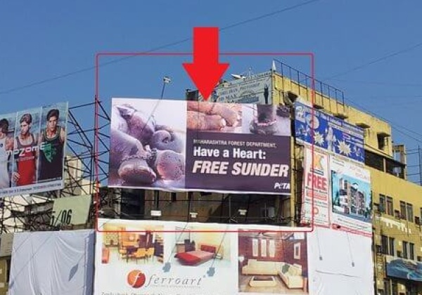 Arjun Rampal Donates #FreeSunder Billboards