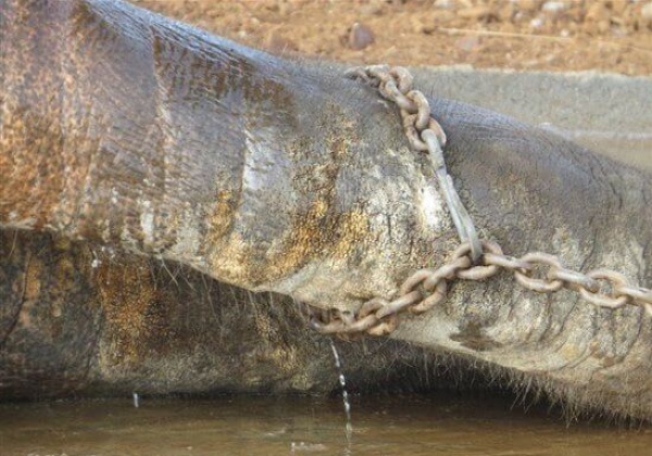 New Report on Sunder Refutes Government Excuses