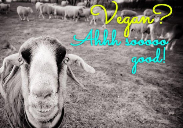 The Oscars’ Vegan Menu Options