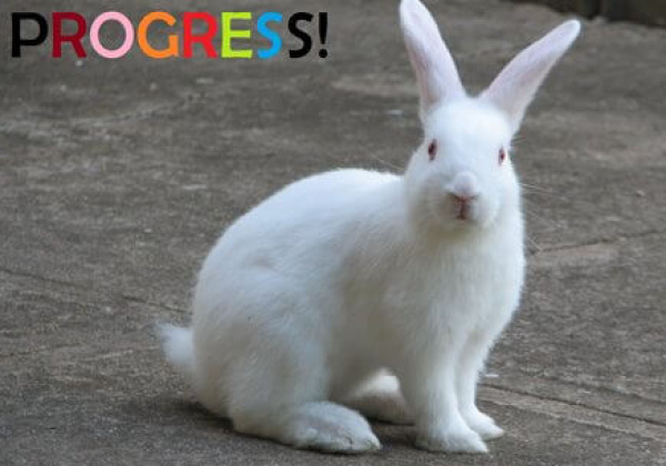 Import Ban on Animal Tested Cosmetics Near