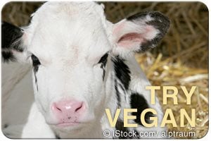 try_vegan_calf