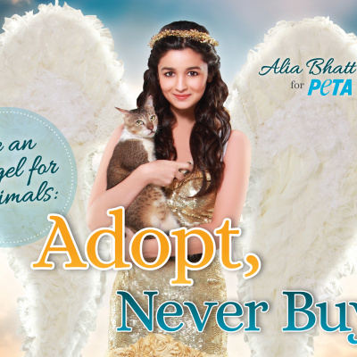 Alia Bhatt Is an Angel for Dogs and Cats
