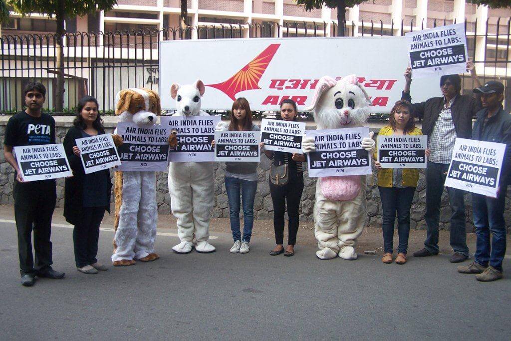 Work For PETA Work For PETA