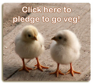 Click Here to Pledge to Be Veg!