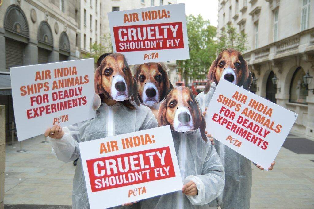 Air India: Cruelty Shouldn't Fly Activist Demonstration in the US