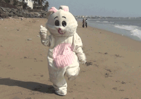 Beach Time! Give Cruelty a Permanent Vacation