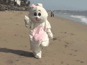 PETA's beach bunny