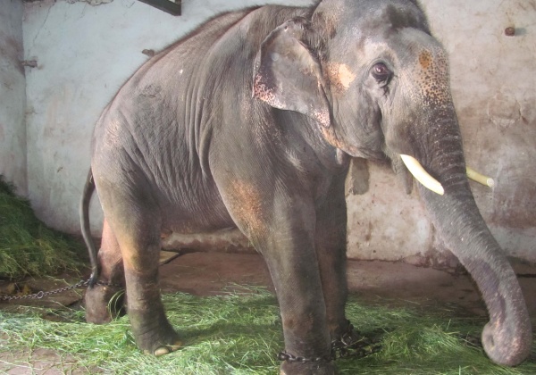 Sunder in the Supreme Court