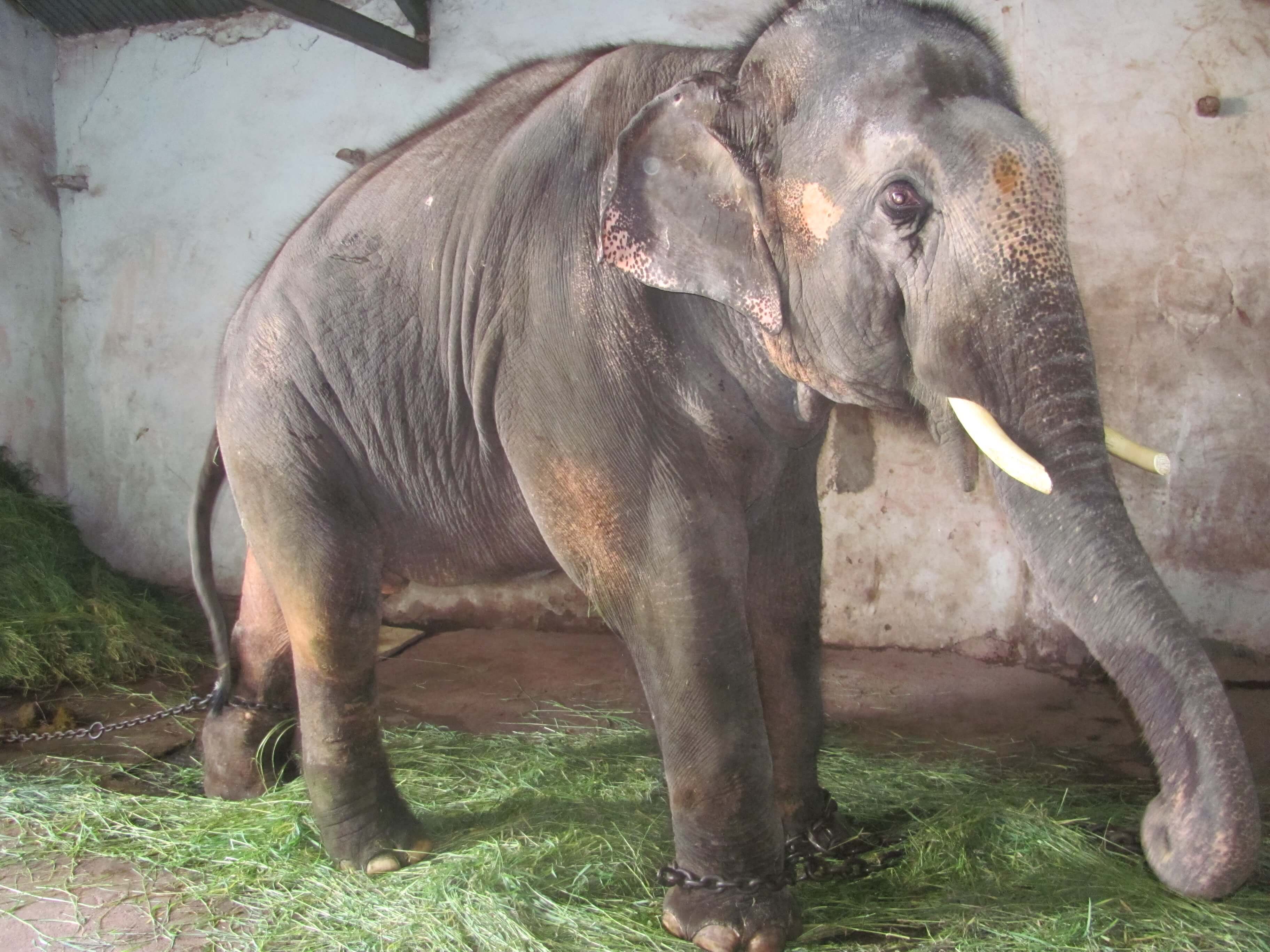 Sunder update May 2014