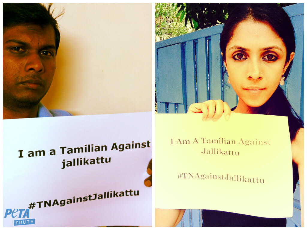 jallikattu-hashtag-mission