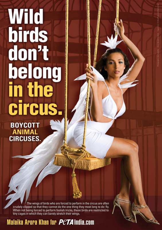 Malaika Arora Khan Says That Birds Don’t Belong in Circuses
