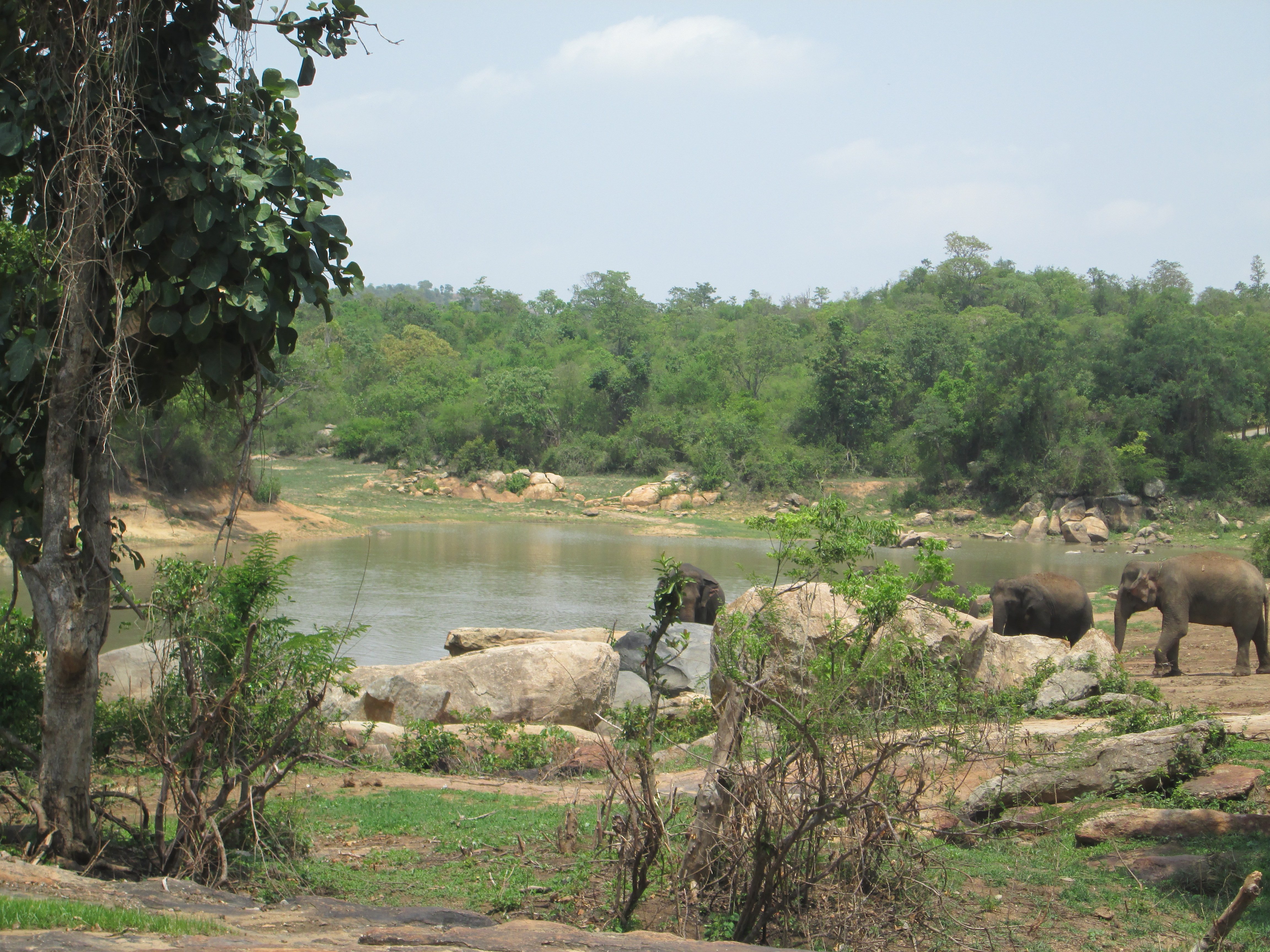 Sunder’s soon-to-be new friends going to the lake.