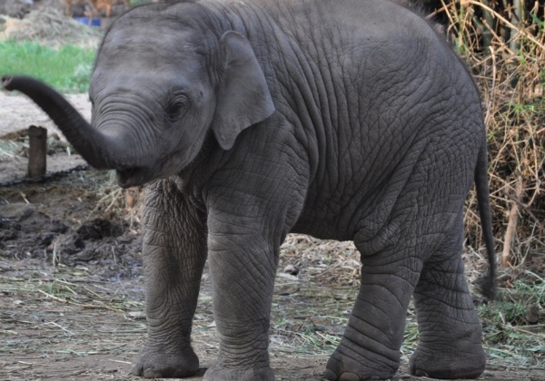 Sunder: Now and the Next Steps