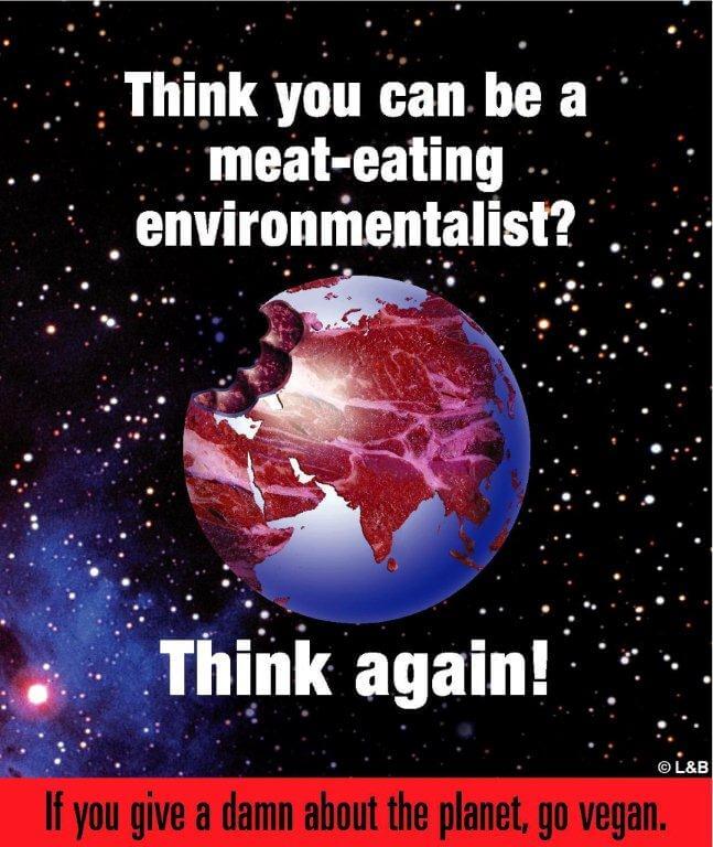 meat-eating-environmentalist