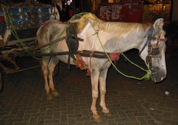 PROGRESS! Victorias Restricted in Colaba and Elsewhere