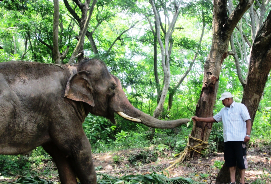 sunder-gets-a-treat