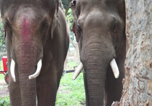 PHOTOS: Sunder’s First Week of Care