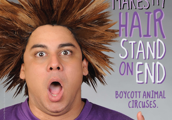 Cyrus Broacha: Circus Cruelty Is No Joke
