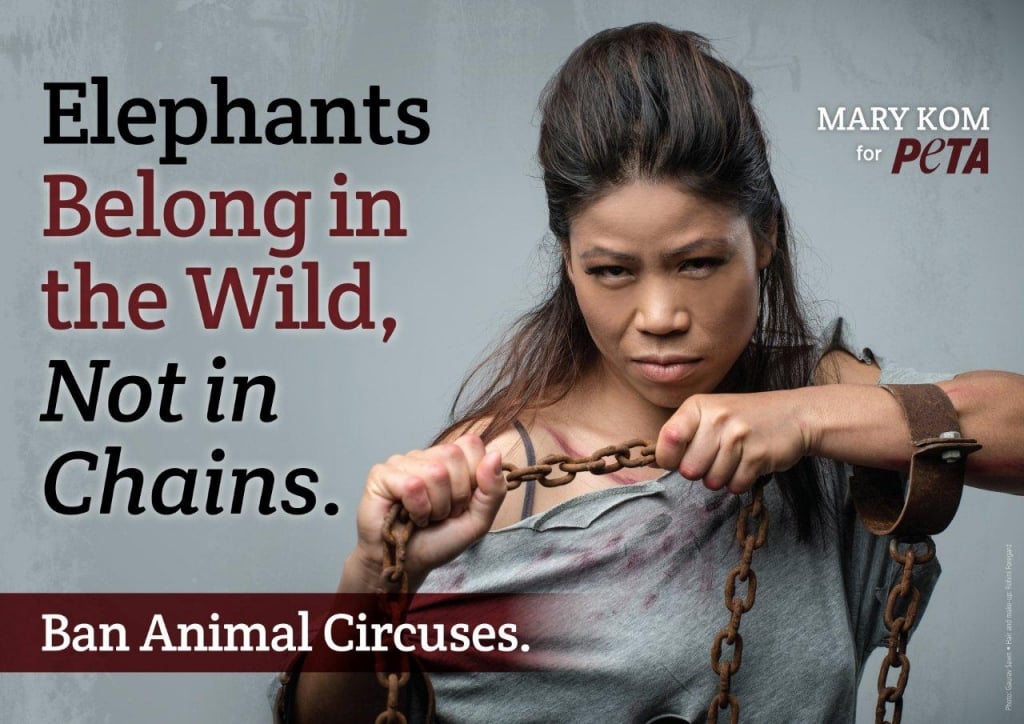 Mary Kom Knocks Out Circuses for Abusing Elephants