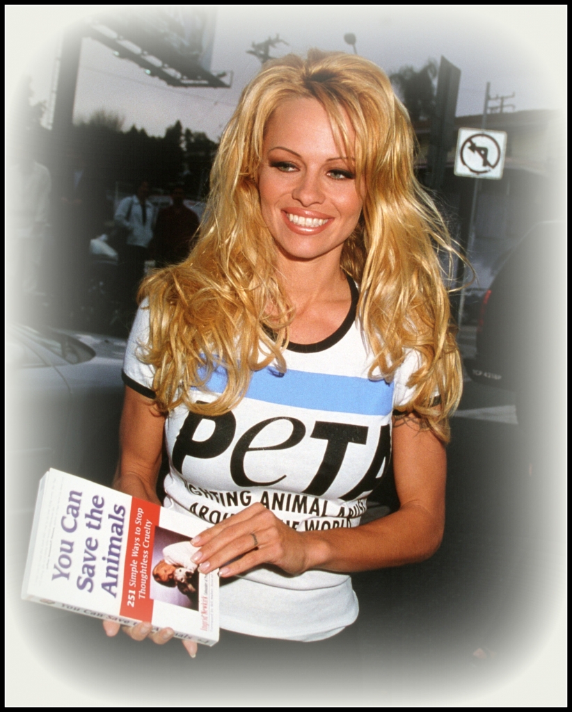 Pamela Anderson 2-005