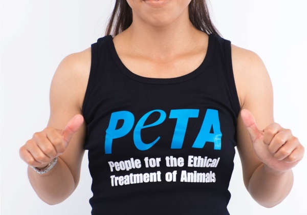 Champions for Animals at the Commonwealth Games