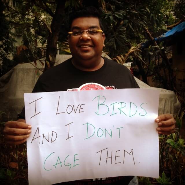 birds_no_cages