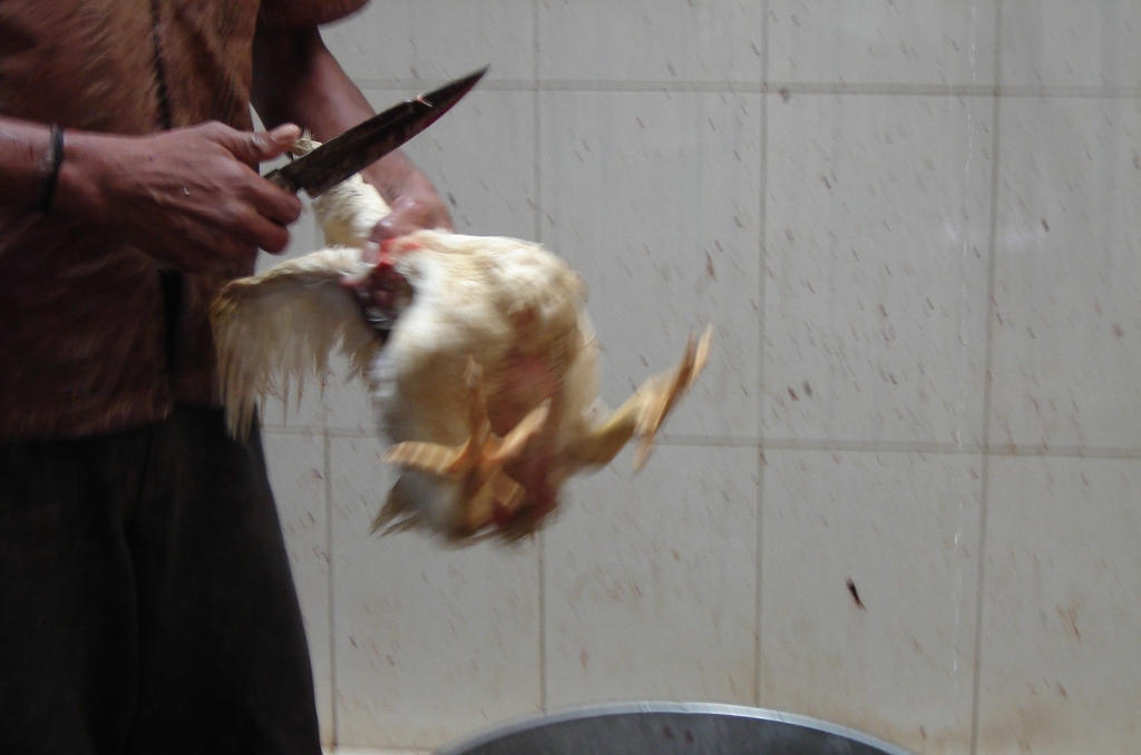 chicken_beheading