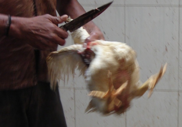 The Beheadings No One Is Talking About