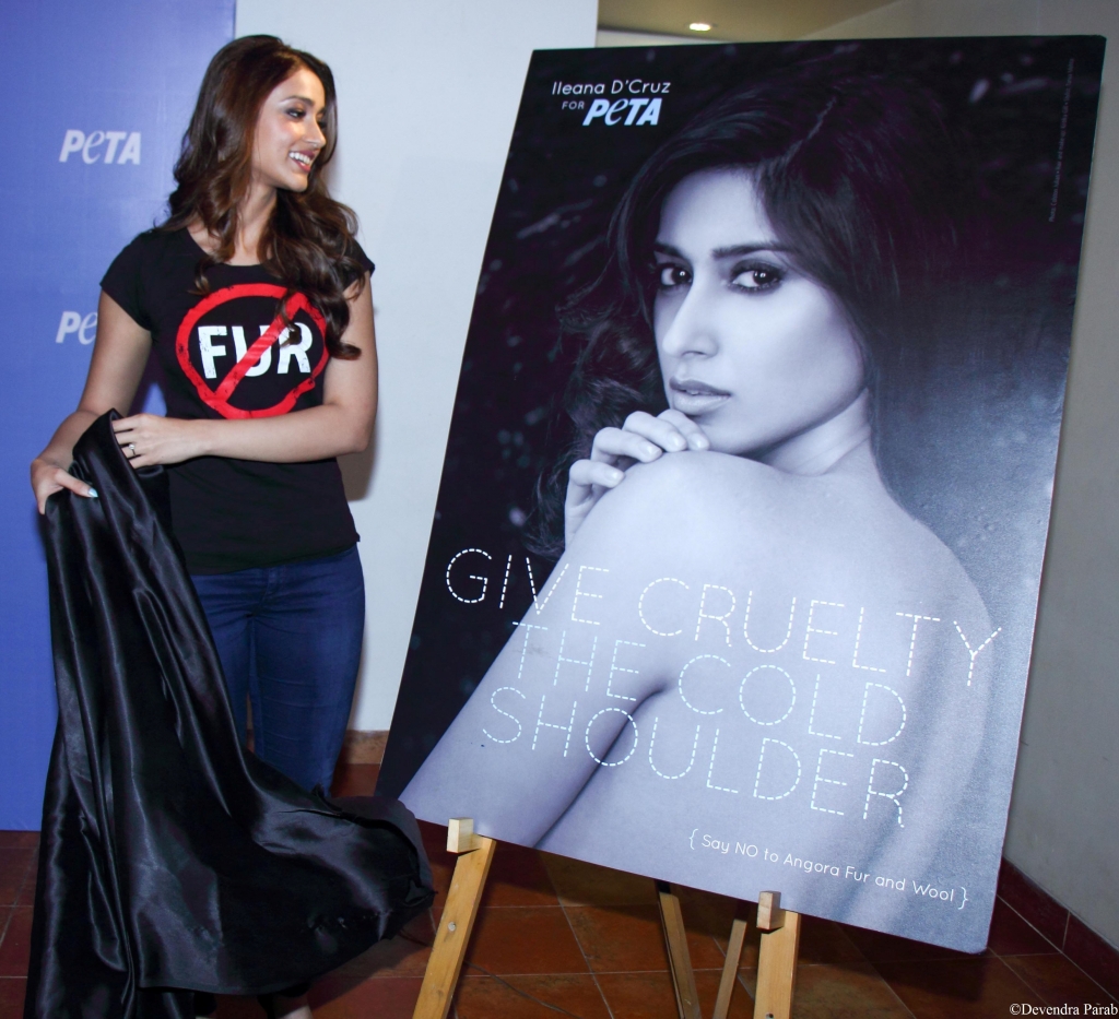 ileana_dcruz_anti-angora_fur_ad_launch_2