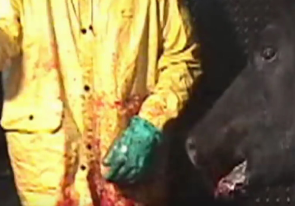 5 Scary Videos That Will Keep You Up at Night