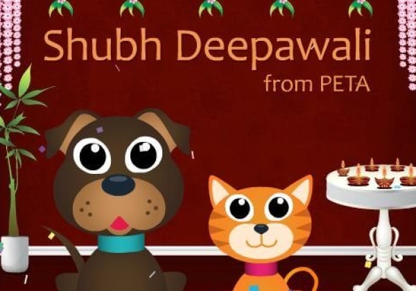 Make Diwali Merry for Animals With PETA’s E-Card!