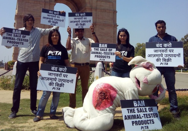 How the Indian Cosmetics Bans Were Won